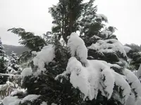 003.webp