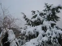 004.webp