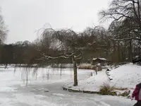 6.1.2010 023.webp