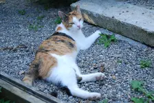 DSC_0140.webp