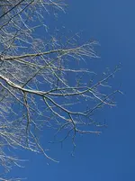 100_2014.webp