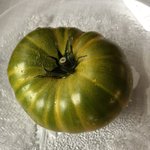 IMG_9989.JPG