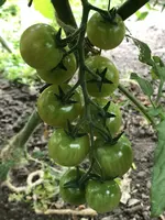 IMG_0058.JPG