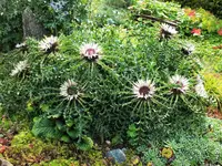 DSCF4991 (2).webp