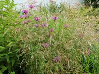 DSCF5003 (2).webp