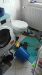 IMG_20200723_173047.jpg