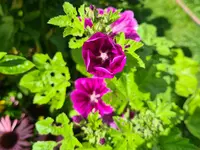 20210819_115403.webp