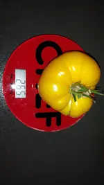 20210819_180502.webp