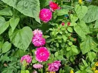 20210820_123633.webp