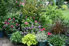 Terasse     1821.webp