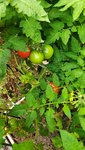 20210820_130121.jpg