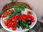 IMG_20210813_100959.jpg
