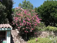 IMG_20210820_144232.webp