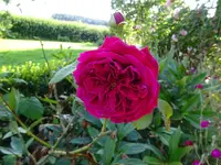 DSC02002.webp