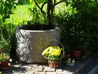DSC01998.webp