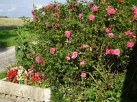 DSC01999.webp