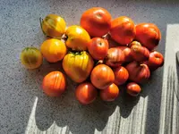 IMG_20210821_171654.webp