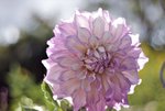 image001.jpg
