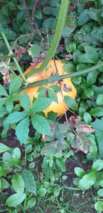 20210821_194412.webp