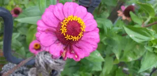 20210821_194711.webp