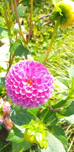 20210822_140149.webp