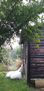 20210822_133822.webp