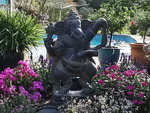 IMG_20210822_092336.jpg