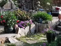 IMG_20210822_092309.webp