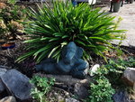 IMG_20210822_092445.jpg