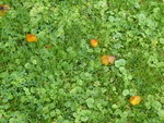 P1050006.JPG