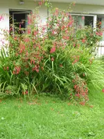 P1050014.JPG