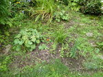 P1050017.JPG