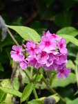 P1050020.JPG