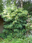 P1050027.JPG