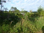 P1050032.JPG