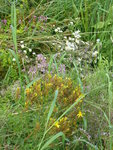 P1050035.JPG