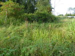 P1050038.JPG