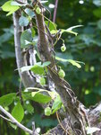 P1050041.JPG