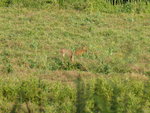 P1050043.JPG