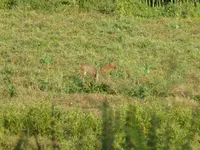 P1050043.JPG