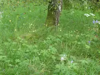 P1050045.JPG