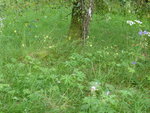 P1050045.JPG