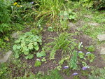 P1050050.JPG