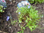 P1050064.JPG