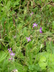 P1050068.JPG