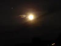 P1050069.webp
