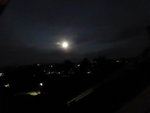 P1050071.JPG