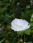 P1050075.JPG
