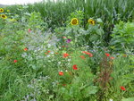 P1050078.JPG