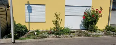 20210821_121019.webp
